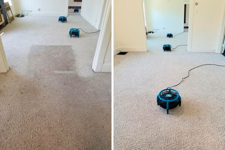 Residential & Commercial Carpet Cleaning